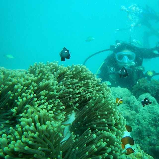 Scuba Diving in Andaman – Havelock Island